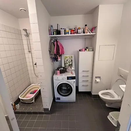 A Beautiful In The Center Of *