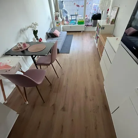 A Beautiful In The Center Of Apartment
